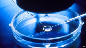 IVF Dish