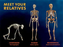 Meet your relatives